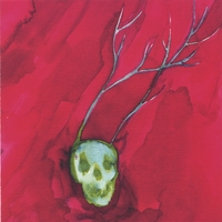 I Am a Cold Rock I Am Dull Grass (Will Oldham Tribute)