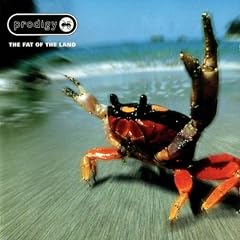 Prodigy&nbsp;-&nbsp;Fat Of The Land