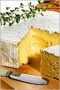 Cheese