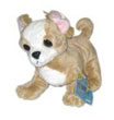 Webkinz Chihuahua