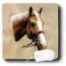 Horse - Palomino Horse - Mouse Pads