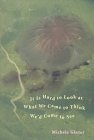 It Is Hard to Look at What We Came to Think We'd Come to See (Pitt Poetry Series)