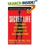 Secret Life: Firsthand, Documented Accounts of UFO Abductions book cover