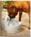 Drinkwell Big Dog Pet Fountain