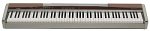 Camcorder: Casio Digital Piano PX-100