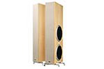 Cambridge SoundWorks Newton Series T300 Tower Speaker (Pair), Blonde Maple