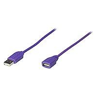 Navigationssysteme: IC Intracom Manhattan USB 1.1 Kabel USB Anschlusskabel A / Stecker - A / Buchse 1.8 m lila