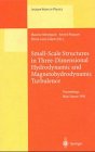 Small-Scale Structures in Three-Dimensional Hydrodynamic and Magnetohydrodynamic Turbulence: Proceedings of a Workshop Held at Nice, France, 10-13 January 1995 (Lecture Notes in Physics)