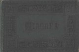 Niagara (Souvenir Albums, Containing Photo Views of All Notable American Scenery, Summer Resorts, Cities, Etc.)