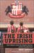 Andy Dawson: An Irish Uprising: How Keano and the Mighty Quinn Saved Sunderland