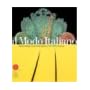 Il Modo Italiano: Italian Design and Avant-garde in the 20th Century book cover