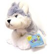 Webkinz Husky GREY