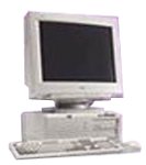 Dell Optiplex GX1 Desktop (450-MHz Intel P3, 256 MB RAM, 6.4 GB hard drive)
