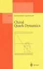 Chiral Quark Dynamics (Lecture Notes in Physics New Series M)