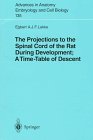The Projections to the Spinal Cord of the Rat During Development: A Timetable of Descent (Advances in Anatomy, Embryology and Cell Biology)