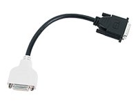 Festplatten: SP-DVI-ADPT-R Kabel (M1 auf DVI)