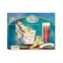Disney Fairies Drawing Book & Kit (Disney Magic Artist Learn to Draw Kits)