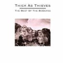 Thick as Thieves: The Best of the Bodeans