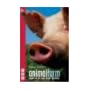 George Orwell's Animal Farm book cover