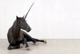 Olaf Nicolai: Works 2003-2006