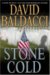Stone Cold (Camel Club Book 3)