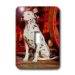 Dogs Dalmatian - Dalmatian - Light Switch Covers - single toggle switch