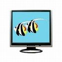 FujiPlus FP-988D / 19" / SXGA / 1280 x 1024 / 12ms / Silver-Black / DVI / LCD Monitor with Speakers