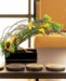 Gracious Curve Artful Flower Arrangement