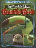 The Worlds Most Beautiful Birds (Reading Rocks!)
