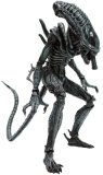 Movie Masterpiece - 1/6 Scale Fully Poseable Model: Aliens - Alien Warrior