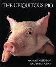 Ubiquitous Pig