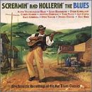 Screamin' and Hollerin' the Blues