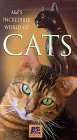 Incredible World of Cats