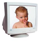 NEC MultiSync 95 19" Monitor for PC and Macintosh