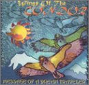 Wings of the Condor: Message of a Dream Traveler