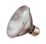 Halogen PAR Flood Light, 75 Watt PAR 30, Short, 120 Volt, 30&deg; Narrow Flood
