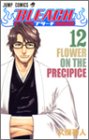 Bleach, Volume 12 (Japanese Edition)