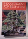 Bonsai Boy