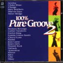 100% Pure Groove V.2