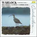 Warlock: The Curlew