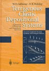Terrigenous Clastic Depositional Systems: Applications to Fossil Fuel and Groundwater Resources