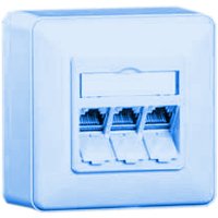 Speicherkarten: Ria-BTR E-DAT modul 3x8/8(8) AP Anschlussdose Aufputz Kat6 3er perlweiss Perlweiss RAL 1013
