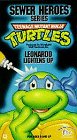 Teenage Mutant Ninja Turtles: Leonardo Lightens Up