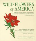 Wild Flowers of America (Tiny Folio)