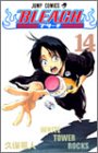 Bleach, Volume 14 (Japanese Edition)
