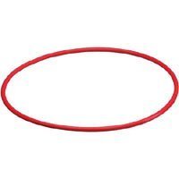 DVD Player: Olympus POL-024 O-Ring f�r PT-024