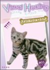 Visual Healing 3 アメリカンショートヘアー