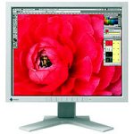 Eizo CG18 18.1" LCD Monitor