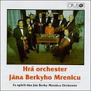 Es Speilt Das J&aacute;n Berky Mrenica Orchester