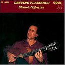 Destino Flamenco